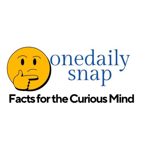 onesnapdaily logo